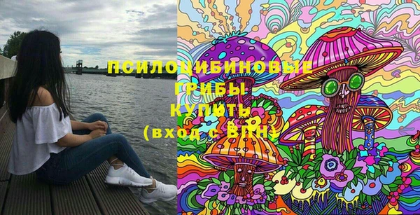 хмурый Богородск