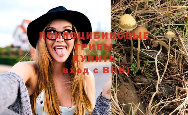 PSILOCYBIN Богданович